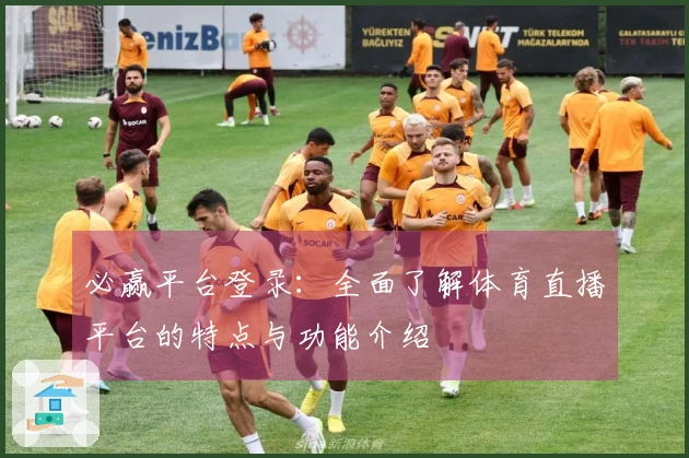 必赢平台登录：全面了解体育直播平台的特点与功能介绍