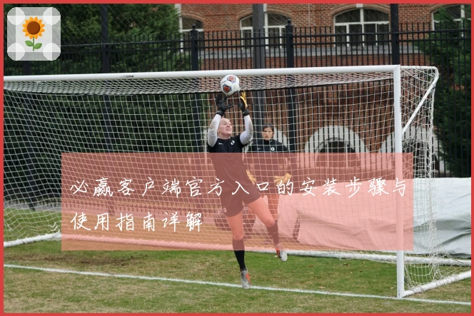 必赢客户端官方入口的安装步骤与使用指南详解