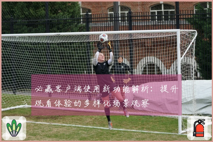 必赢客户端使用新功能解析：提升观看体验的多样化场景观察