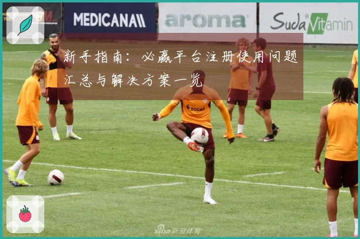 新手指南：必赢平台注册使用问题汇总与解决方案一览